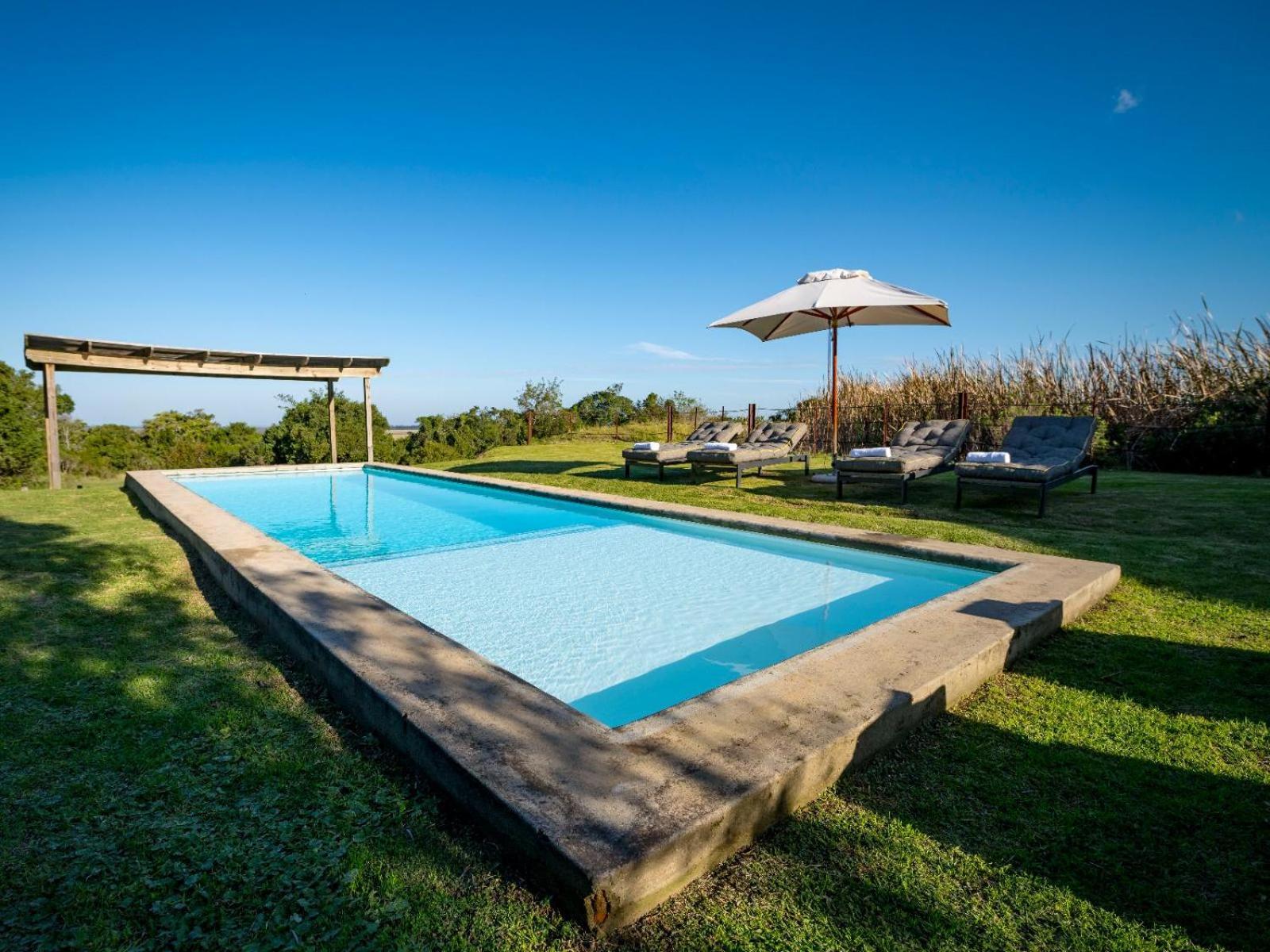 Belle Balance Bush Lodge بليتنبيرغ باي المظهر الخارجي الصورة