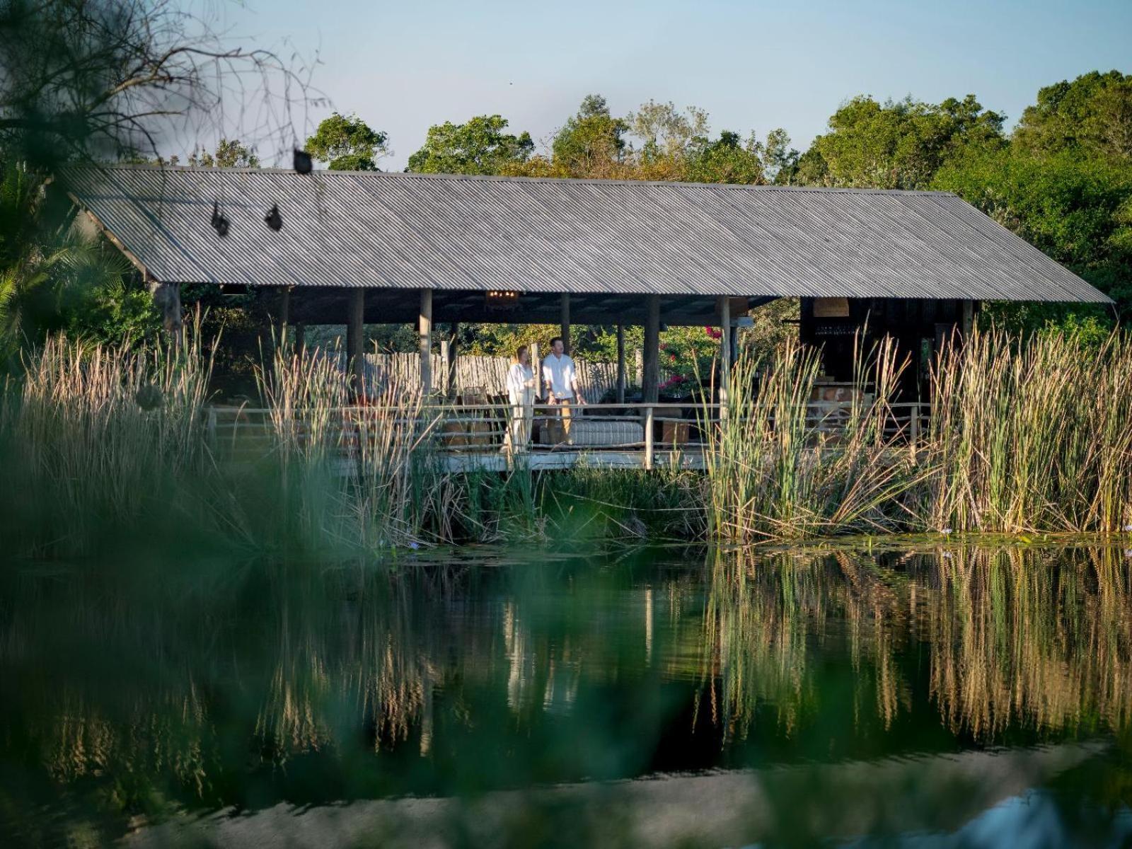 Belle Balance Bush Lodge بليتنبيرغ باي المظهر الخارجي الصورة
