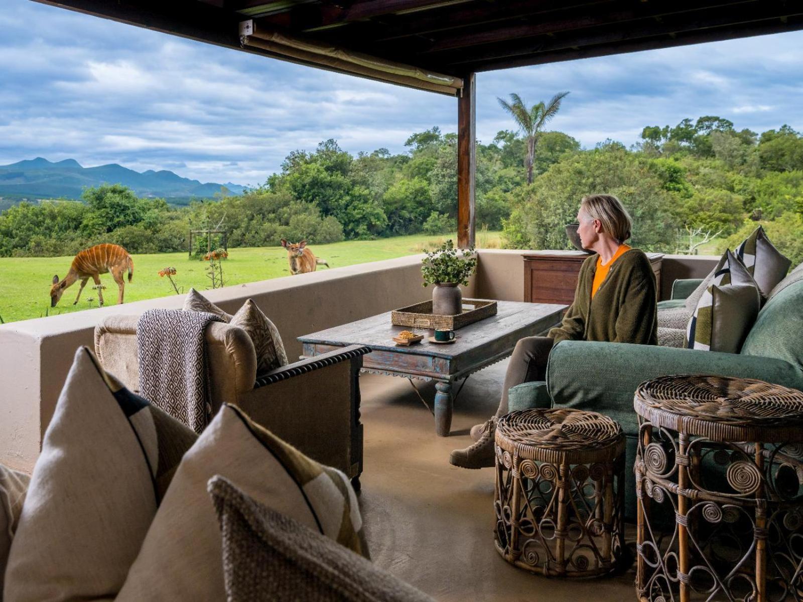 Belle Balance Bush Lodge بليتنبيرغ باي المظهر الخارجي الصورة