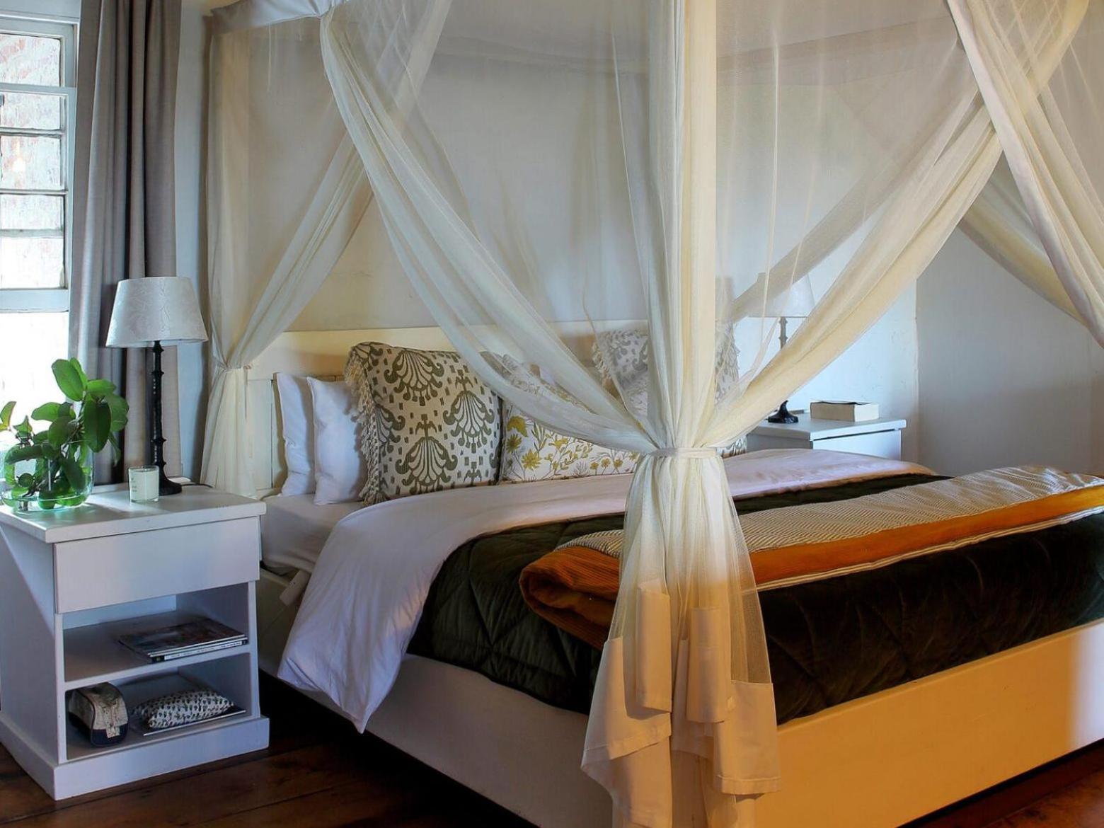 Belle Balance Bush Lodge بليتنبيرغ باي الغرفة الصورة